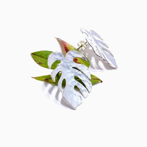 Amazona Monstera